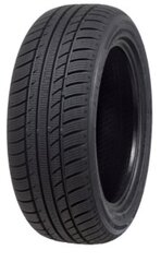 Atlas Polarbear UHP 225/45R17 91 V цена и информация | Зимние шины | pigu.lt