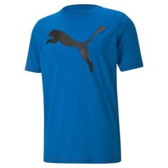 Marškinėliai vyrams Puma 85144, mėlyni цена и информация | Мужские футболки | pigu.lt