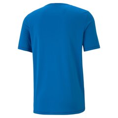 Marškinėliai vyrams Puma 85144, mėlyni цена и информация | Мужские футболки | pigu.lt
