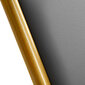 Profesionali kirpyklos kėdė Gabbiano Linz NQ, pilka/auksinė kaina ir informacija | Baldai grožio salonams | pigu.lt