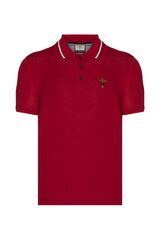 Polo marškinėliai vyrams Aeronautica Militare, raudoni kaina ir informacija | Vyriški marškinėliai | pigu.lt