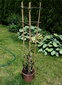 Bambukinės kopėčios 180 cm x 10 vnt. цена и информация | Gėlių stovai, vazonų laikikliai | pigu.lt