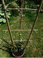 Bambukinė kopėčių lazda 45 cm, 10 vnt.. kaina ir informacija | Gėlių stovai, vazonų laikikliai | pigu.lt