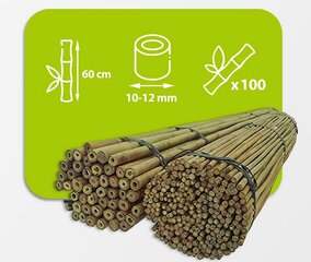 Бамбуковые палки 60 см, 10/12 мм / 100 шт. цена и информация | Подставки для цветов, держатели для вазонов | pigu.lt