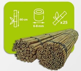 Bambukinės lazdos 60 cm 6/8 mm, 25 vnt. kaina ir informacija | Gėlių stovai, vazonų laikikliai | pigu.lt