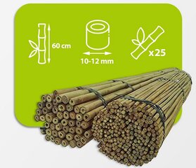 Бамбуковые палки 60 см 10/12 мм / 25 шт. цена и информация | Подставки для цветов, держатели для вазонов | pigu.lt