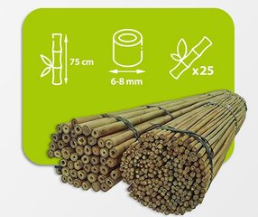 Бамбуковые шесты 75 см 6/8 мм / 25 шт. цена и информация | Подставки для цветов, держатели для вазонов | pigu.lt