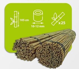 Bambukinės lazdos 105 cm 10/12 mm, 25 vnt. kaina ir informacija | Gėlių stovai, vazonų laikikliai | pigu.lt