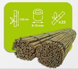 Bambukinės lazdos 120 cm 8/10 mm, 25 vnt. kaina ir informacija | Gėlių stovai, vazonų laikikliai | pigu.lt