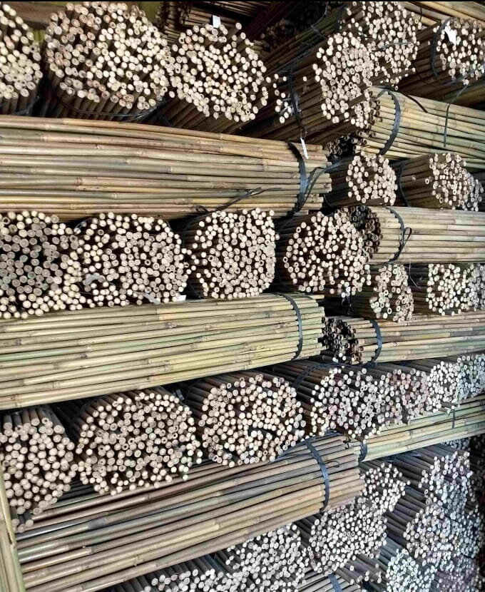 Bambukinės lazdos 120 cm 10/12 mm, 25 vnt. kaina ir informacija | Gėlių stovai, vazonų laikikliai | pigu.lt