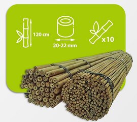 Bambukinės lazdos 120 cm 20/22 mm, 10 vnt. kaina ir informacija | Gėlių stovai, vazonų laikikliai | pigu.lt