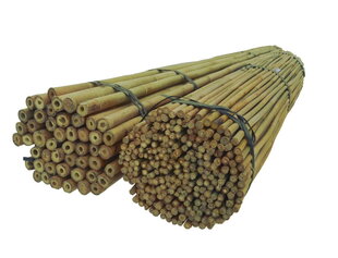 Bambukinės lazdos 150 cm 10/12 mm, 25 vnt. kaina ir informacija | Gėlių stovai, vazonų laikikliai | pigu.lt