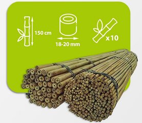 Бамбуковые шесты 150 см 18/20 мм / 10 шт. цена и информация | Подставки для цветов, держатели для вазонов | pigu.lt