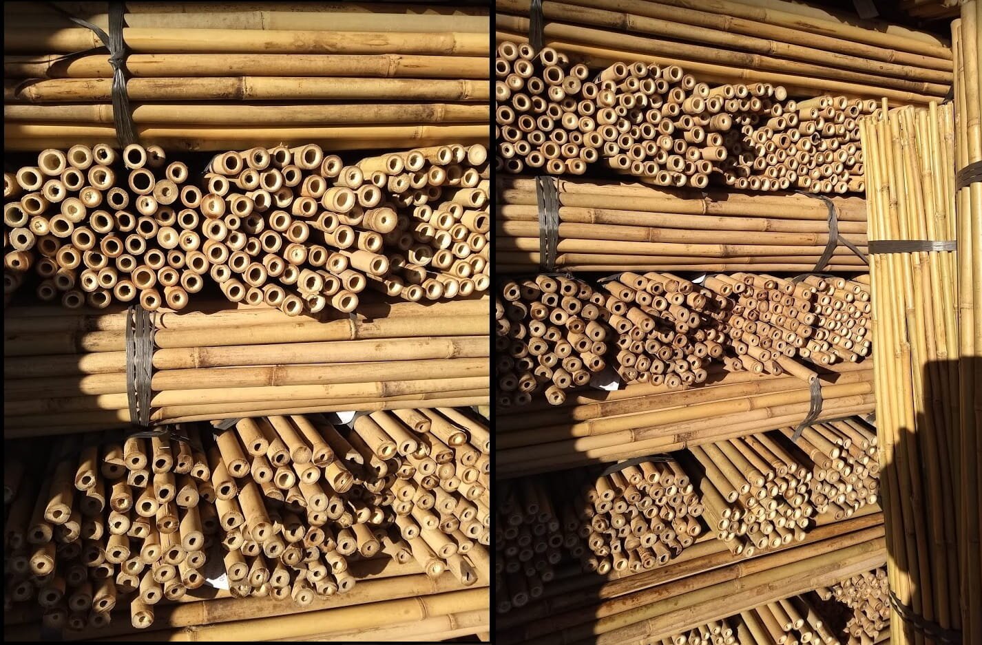 Bambukinės lazdos 180 cm 14/16 mm, 25 vnt. kaina ir informacija | Gėlių stovai, vazonų laikikliai | pigu.lt