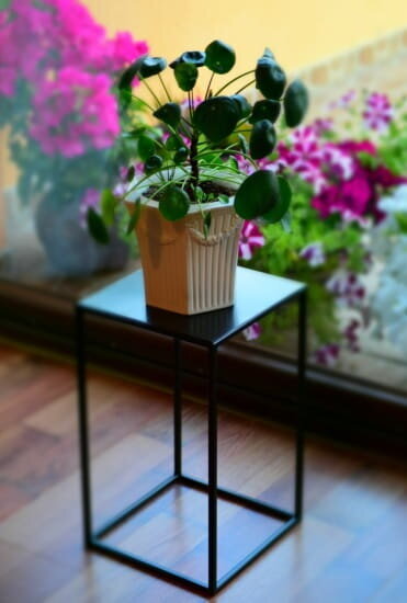 Gėlių stovas, 70 cm, juodas kaina ir informacija | Gėlių stovai, vazonų laikikliai | pigu.lt