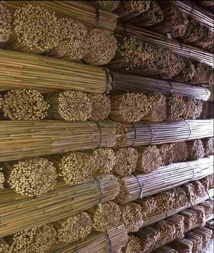 Bambukinės lazdos 150 cm 24/26 mm, 50 vnt. цена и информация | Gėlių stovai, vazonų laikikliai | pigu.lt