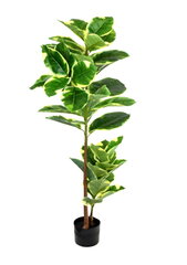Dirbtinis augalas Fikusas kaina ir informacija | Dirbtinės gėlės | pigu.lt