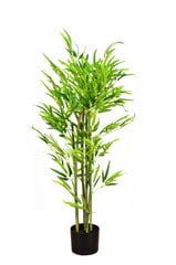 Артифицированный бамабус, БОЛЬШОЙ ~ 180 см, № 19B016 цена и информация | Искусственные цветы | pigu.lt