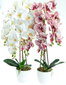 Dirbtinė gėlė Orchidėja цена и информация | Dirbtinės gėlės | pigu.lt