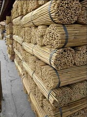 Bambukinės lazdos 150 cm 12/14 mm, 50 vnt. kaina ir informacija | Gėlių stovai, vazonų laikikliai | pigu.lt