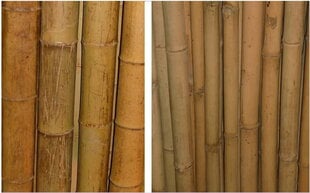 Бамбук декоративный, толстый, декоративный 180 см, 60/70 мм цена и информация | Подставки для цветов, держатели для вазонов | pigu.lt