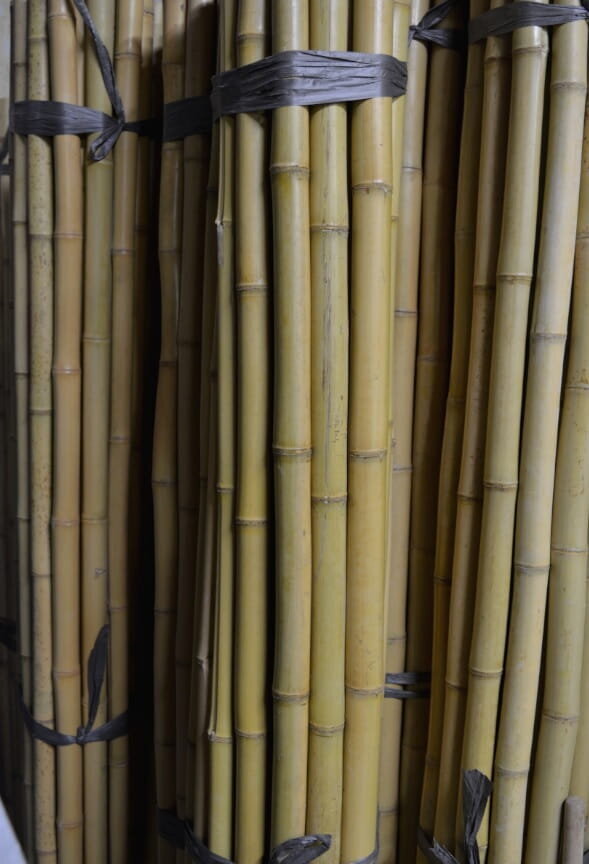 Dekoratyvinis bambukas, 180 cm, 60-70 mm цена и информация | Gėlių stovai, vazonų laikikliai | pigu.lt