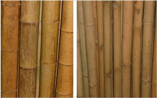 Бамбук декоративный, толстый, декоративный 180 см, 80/100 мм цена и информация | Подставки для цветов, держатели для вазонов | pigu.lt