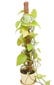 Augalų atrama-kuolas, 40 cm, 3vnt. цена и информация | Gėlių stovai, vazonų laikikliai | pigu.lt
