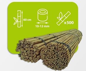 Бамбуковые палки 60 см, 10/12 мм / 500 шт. цена и информация | Подставки для цветов, держатели для вазонов | pigu.lt
