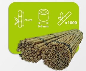 Бамбуковые палки 75 см, 6/8 мм / 1000 шт. цена и информация | Подставки для цветов, держатели для вазонов | pigu.lt