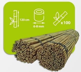 Бамбуковые шесты 120 см, 6/8 мм / 100 шт. цена и информация | Подставки для цветов, держатели для вазонов | pigu.lt