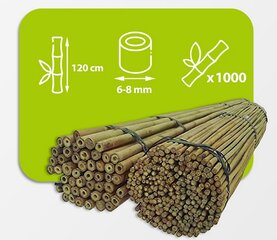 Бамбуковые шесты 120 см, 6/8 мм / 1000 шт. цена и информация | Подставки для цветов, держатели для вазонов | pigu.lt