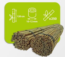 Бамбуковые палки 120 см, 10/12 мм / 250 шт. цена и информация | Подставки для цветов, держатели для вазонов | pigu.lt