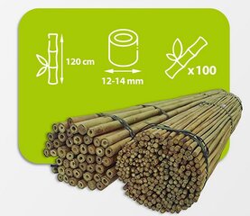 Бамбуковые палки 120 см, 12/14 мм / 100 шт. цена и информация | Подставки для цветов, держатели для вазонов | pigu.lt