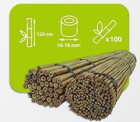 Bambukinės lazdos 120 cm 16/18 mm, 100 vnt. kaina ir informacija | Gėlių stovai, vazonų laikikliai | pigu.lt