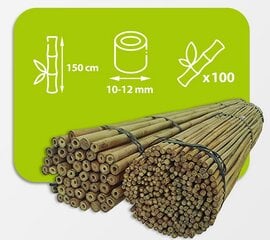 Bambukinės lazdos 150 cm 10/12 mm, 100 vnt. kaina ir informacija | Gėlių stovai, vazonų laikikliai | pigu.lt