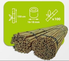 Бамбуковые палки 150 см 16/18 мм / 100 шт. цена и информация | Подставки для цветов, держатели для вазонов | pigu.lt