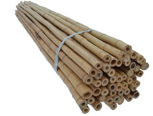 Bambukinės lazdos 150 cm 24/26 mm, 10 vnt. kaina ir informacija | Gėlių stovai, vazonų laikikliai | pigu.lt