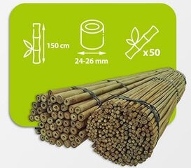 Bambukinės lazdos 150 cm 24/26 mm, 50 vnt. kaina ir informacija | Gėlių stovai, vazonų laikikliai | pigu.lt