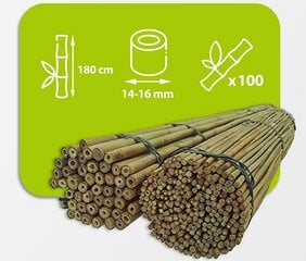 Бамбуковые шесты 180 см, 14/16 мм / 100 шт. цена и информация | Подставки для цветов, держатели для вазонов | pigu.lt