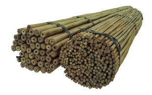 Bambukinės lazdos 180 cm 18/20 mm, 100 vnt. kaina ir informacija | Gėlių stovai, vazonų laikikliai | pigu.lt