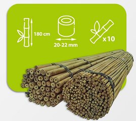 Бамбуковые палки 180 см 20/22 мм / 10 шт. цена и информация | Подставки для цветов, держатели для вазонов | pigu.lt