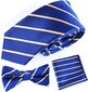 Kaklaraištis, peteliškė, nosinaitė vyrams, mėlyna kaina ir informacija | Kaklaraiščiai, peteliškės | pigu.lt
