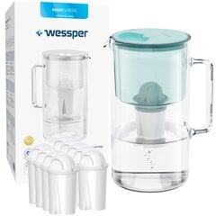 Кувшин Wessper AquaClassic D2 мята + 10 фильтра Wessper AquaClassic в комплекте цена и информация | Фильтры для воды | pigu.lt