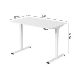 Reguliuojamo aukščio stalas ErgoLab, 2M, 70x120 cm, baltas цена и информация | Компьютерные, письменные столы | pigu.lt