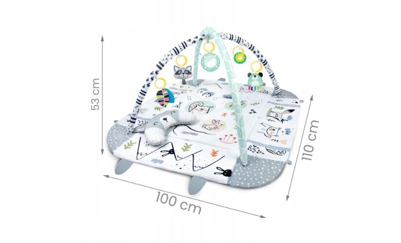 Interaktyvus lavinamasis kilimėlis RicoKids, 110 x 100 cm kaina ir informacija | Lavinimo kilimėliai | pigu.lt
