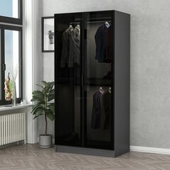 Drabužinė Kale Glass Anthracite - 210 цена и информация | Шкафы | pigu.lt