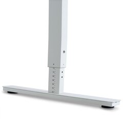 Регулируемый стол Ergostock Forza line, 120x65 см, цвет антрацита/белый цена и информация | Компьютерные, письменные столы | pigu.lt