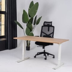 Reguliuojamas stalas Ergostock Forza line, 120x80 cm, rudas/baltas kaina ir informacija | Kompiuteriniai, rašomieji stalai | pigu.lt