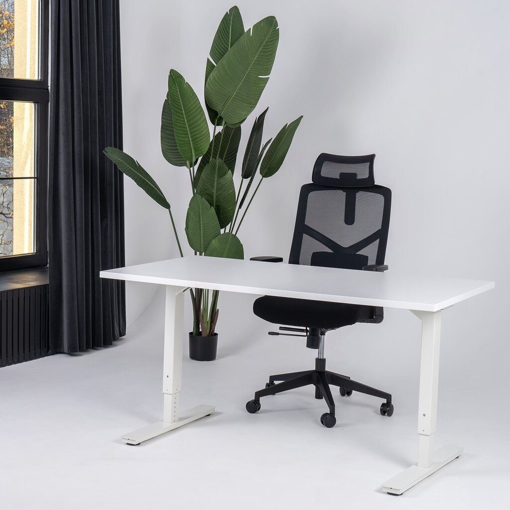 Reguliuojamas stalas Ergostock Forza line, 160x80 cm, baltas kaina ir informacija | Kompiuteriniai, rašomieji stalai | pigu.lt